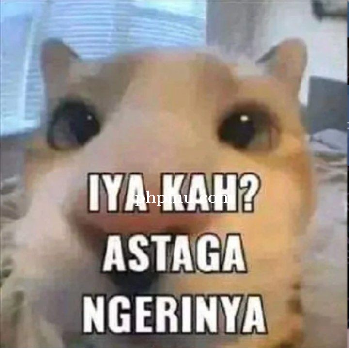 HACKED BY MR HANZ XPLOIT 